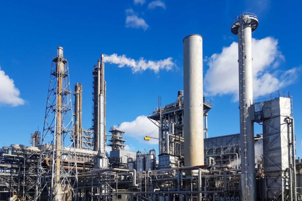 industry (1)
